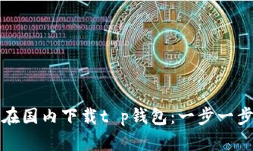 如何在国内下载t p钱包：一步一步详解