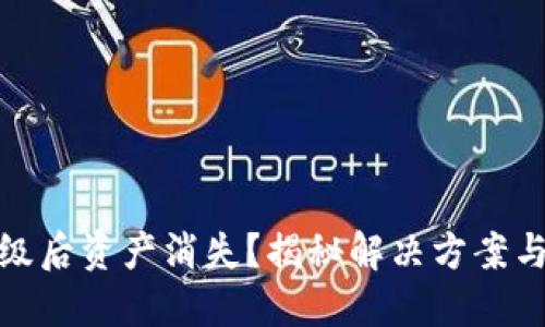 TP钱包升级后资产消失？揭秘解决方案与预防措施
