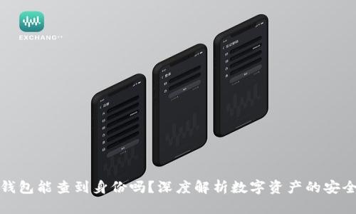 : TP冷钱包能查到身份吗？深度解析数字资产的安全与隐私