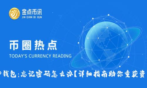 TP钱包：忘记密码怎么办？详细指南助你重获资产