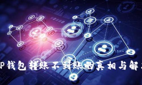 解密TP钱包转账不到账的真相与解决方法