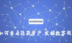 TP钱包：如何查看隐藏资产，发掘数字钱包的潜力