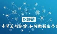 : 探秘800亿加密货币背后的秘密：如何把握这个新