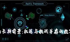 加密货币的长期前景：机遇与挑战并存的数字资