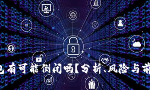 t p钱包有可能倒闭吗？分析、风险与前景展望