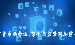 : 印度加密货币的命运：禁令与监禁对加密行业的