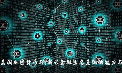 揭秘美国加密货币群：新兴金融生态系统的魅力与挑战