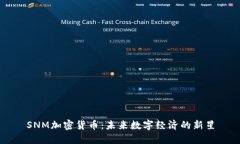 SNM加密货币：未来数字经济的新星