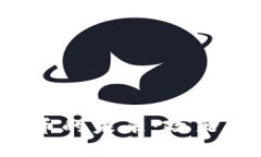 揭开美国加密货币的未来：政策、市场与投资机