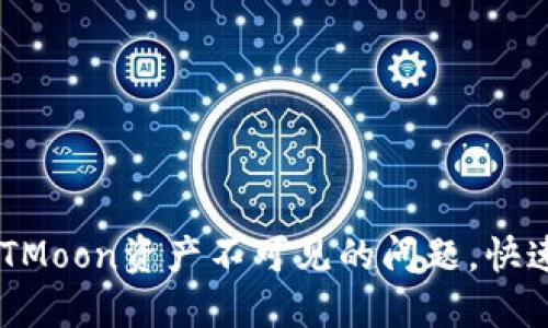 如何解决TP钱包中HTMoon资产不可见的问题，快速找回你的数字资产！