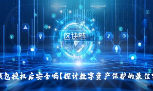 TP钱包授权后安全吗？探讨数字资产保护的最佳实践