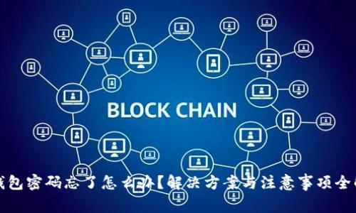 TP钱包密码忘了怎么办？解决方案与注意事项全解析