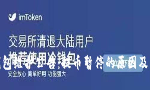 TP钱包维护公告：提币暂停的原因及影响
