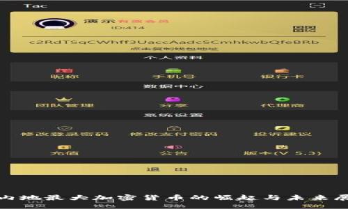 : 内地最大加密货币的崛起与未来展望
